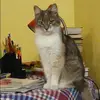 Отзыв от Майя Хромова